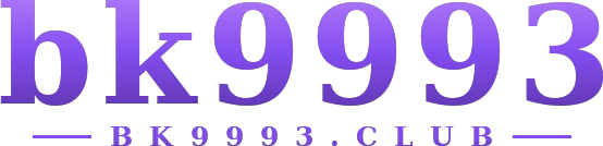 bk9993 logo